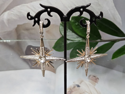 Серьги 1396002500037